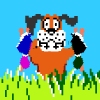 Duck Hunt